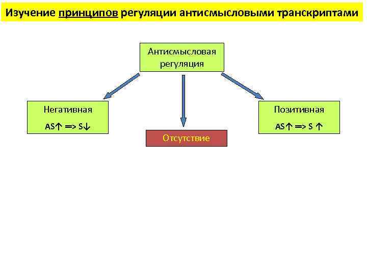 Изучение принципов регуляции антисмысловыми транскриптами Антисмысловая регуляция Негативная Позитивная AS↑ ═> S↓ AS↑ ═>