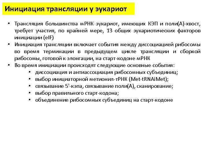 Инициация трансляции у эукариот • Трансляция большинства м. РНК эукариот, имеющих КЭП и поли(А)-хвост,