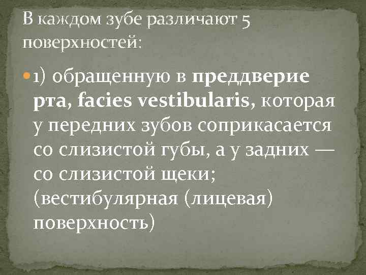 В каждом зубе различают 5 поверхностей: 1) обращенную в преддверие рта, facies vestibularis, которая