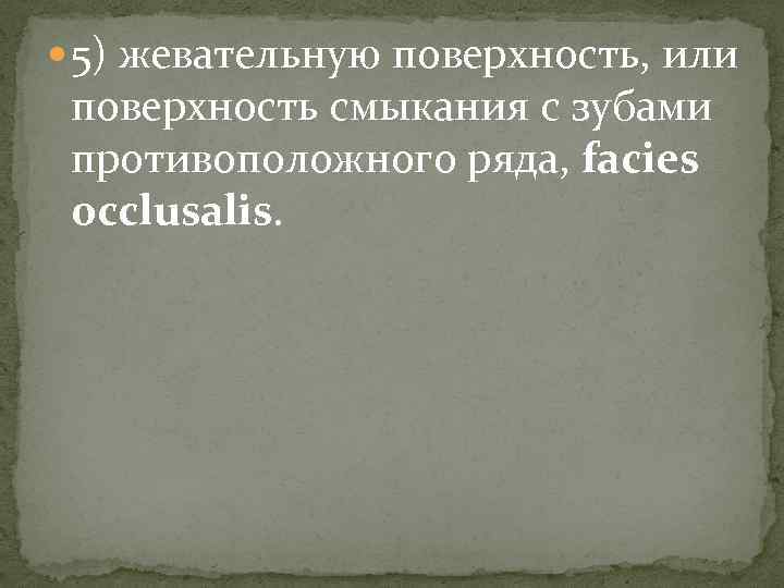  5) жевательную поверхность, или поверхность смыкания с зубами противоположного ряда, facies occlusalis. 