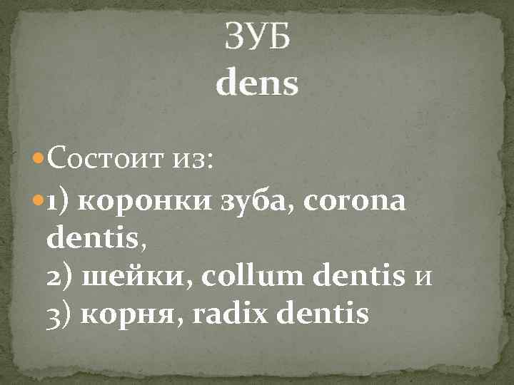 ЗУБ dens Состоит из: 1) коронки зуба, corona dentis, 2) шейки, collum dentis и