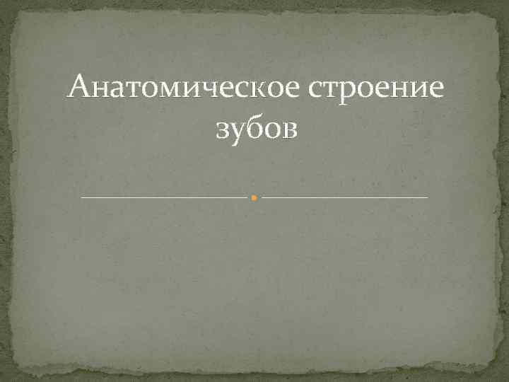 Анатомическое строение зубов 