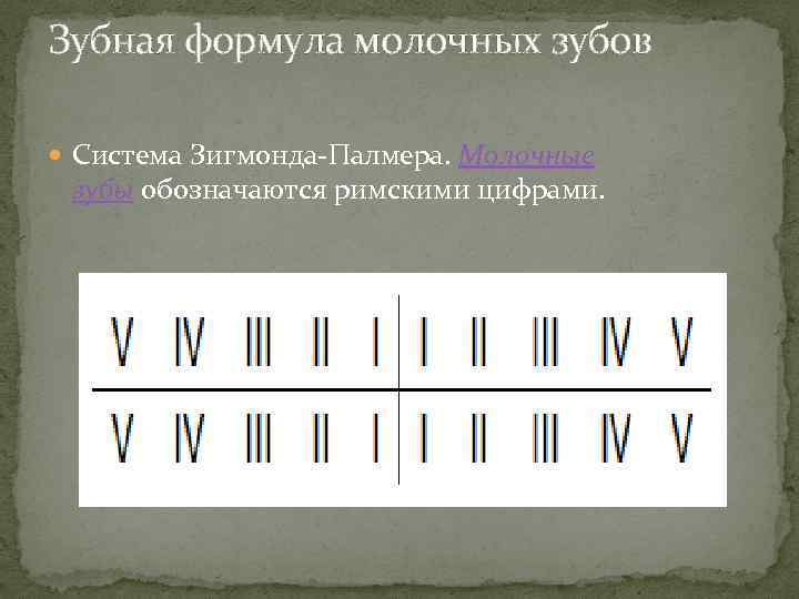 Зубная формула молочных зубов Система Зигмонда-Палмера. Молочные зубы обозначаются римскими цифрами. 