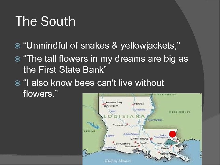 The South “Unmindful of snakes & yellowjackets, ” “The tall flowers in my dreams