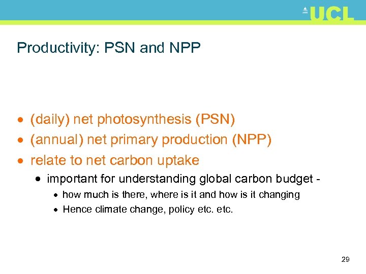 Productivity: PSN and NPP · (daily) net photosynthesis (PSN) · (annual) net primary production