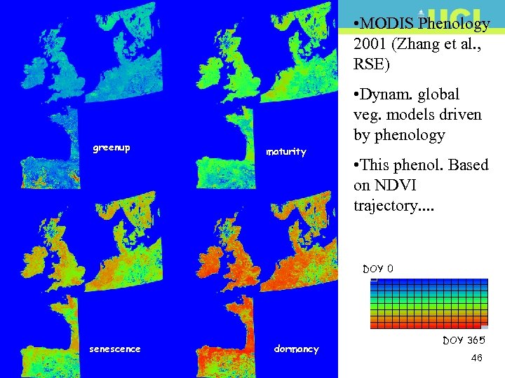  • MODIS Phenology 2001 (Zhang et al. , RSE) greenup • Dynam. global