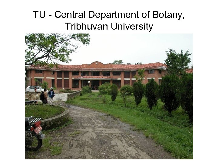 TU - Central Department of Botany, Tribhuvan University 