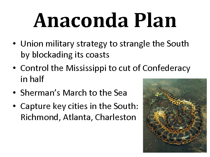 Anaconda Plan • Union military strategy to strangle the South by blockading its coasts