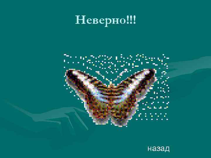 Неверно!!! назад 