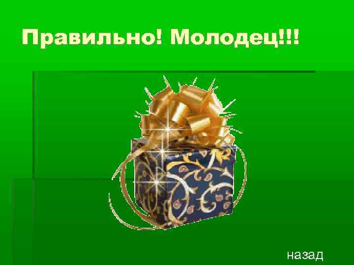 Правильно! Молодец!!! назад 