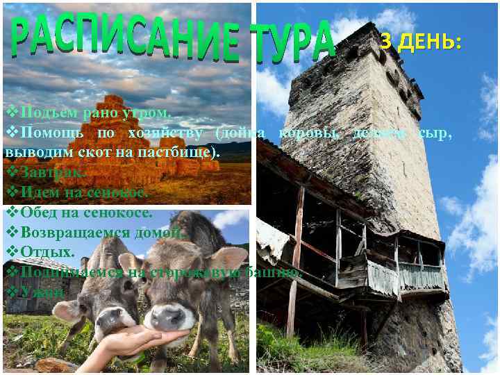 GREEN FIEND 3 ДЕНЬ: v. Подъем рано утром. v. Помощь по хозяйству (дойка коровы,