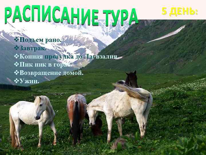 5 FIEND GREEN ДЕНЬ: v. Подъем рано. v. Завтрак. v. Конная прогулка до Лагвзалия.