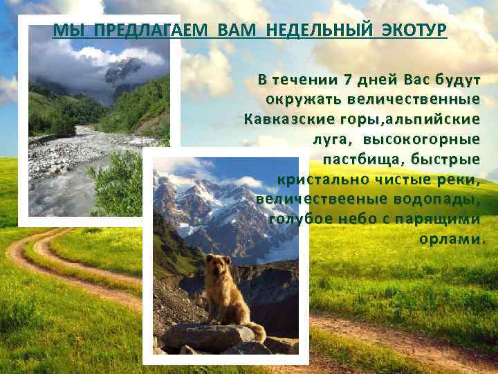 МЫ ПРЕДЛАГАЕМ ВАМ НЕДЕЛЬНЫЙ ЭКОТУР GREEN FIEND В течении 7 дней Вас будут окружать