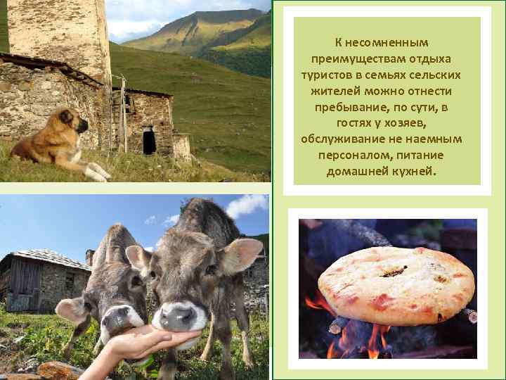 GREEN FIEND К несомненным преимуществам отдыха туристов в семьях сельских жителей можно отнести пребывание,