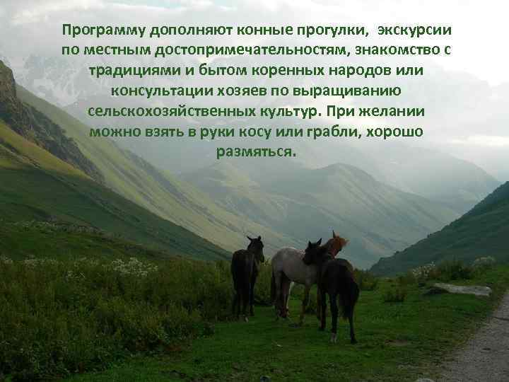 Программу дополняют конные прогулки, экскурсии GREEN FIEND по местным достопримечательностям, знакомство с традициями и
