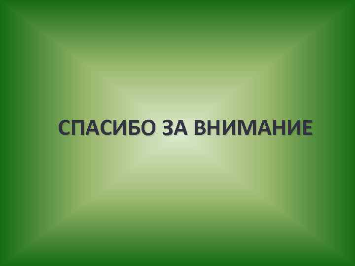 СПАСИБО ЗА ВНИМАНИЕ 