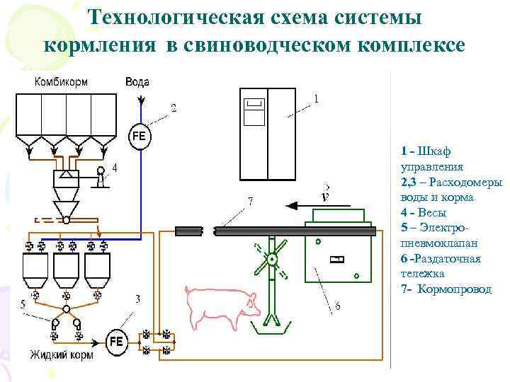 Технологическая схема системы кормления в свиноводческом комплексе 1 - Шкаф управления 2, 3 –