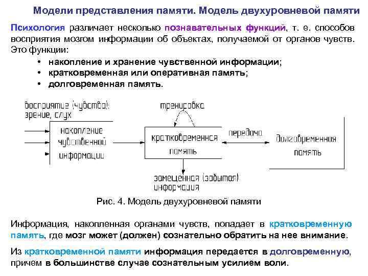 Модели памяти. Модели памяти в психологии. Модель Сперлинга. Функции представления памяти. Модель памяти Сперлинга.