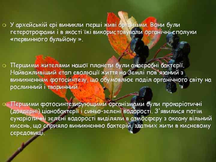 m m m У архейськiй ерi виникли перші живі організми. Вони були гетеротрофами і