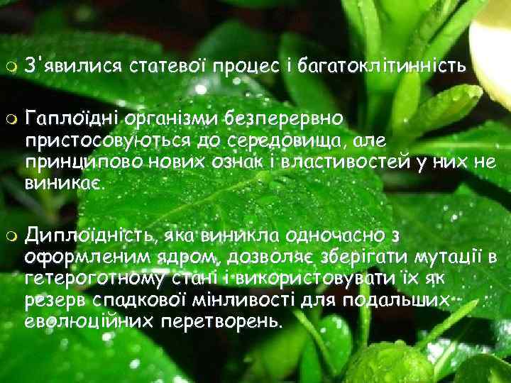 m m m З'явилися статевої процес і багатоклiтиннiсть Гаплоїдні організми безперервно пристосовуються до середовища,