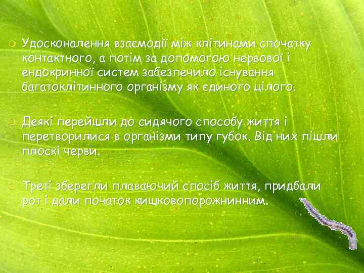 m m m Удосконалення взаємодії між клітинами спочатку контактного, а потім за допомогою нервової