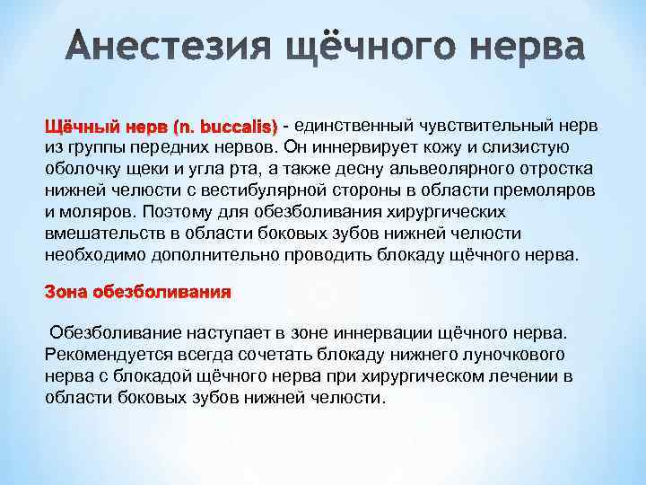- единственный чувствительный нерв из группы передних нервов. Он иннервирует кожу и слизистую оболочку