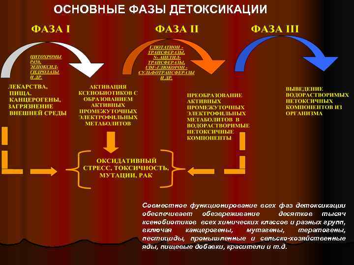 Схема детоксикации организма