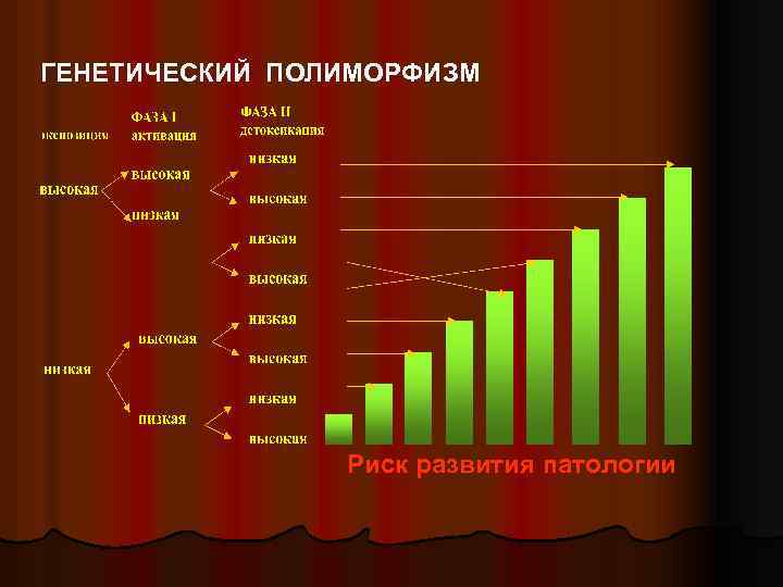 ГЕНЕТИЧЕСКИЙ ПОЛИМОРФИЗМ Риск развития патологии 