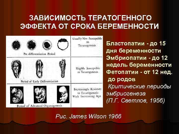 ЗАВИСИМОСТЬ ТЕРАТОГЕННОГО ЭФФЕКТА ОТ СРОКА БЕРЕМЕННОСТИ Бластопатии - до 15 дня беременности Эмбриопатии -