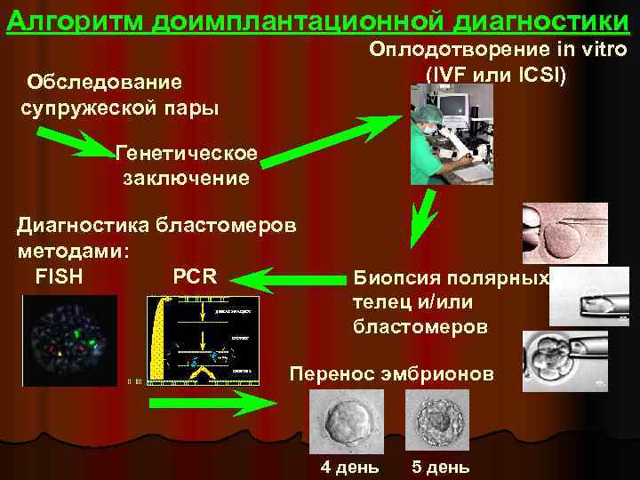 Алгоритм доимплантационной диагностики Оплодотворение in vitro (IVF или ICSI) Обследование супружеской пары Генетическое заключение