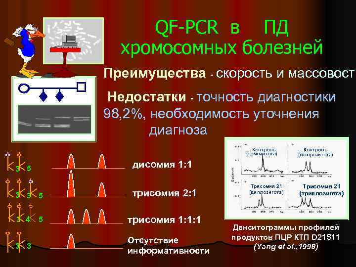 QF-PCR в ПД хромосомных болезней Преимущества - скорость и массовость Недостатки - точность диагностики