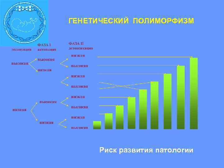 ГЕНЕТИЧЕСКИЙ ПОЛИМОРФИЗМ Риск развития патологии 