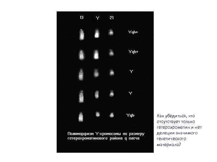 Как убедиться, что отсутствует только гетерохроматин и нет делеции значимого генетического материала? 
