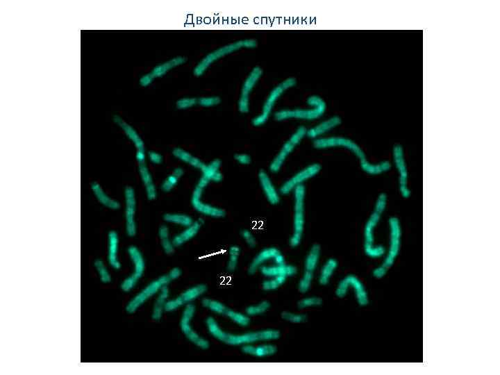 Двойные спутники 22 22 