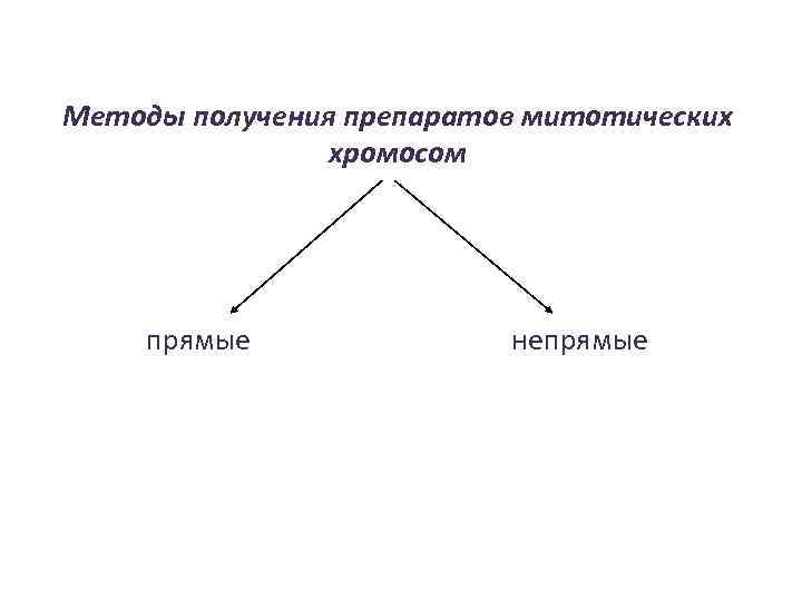 Методы получения препаратов митотических хромосом прямые непрямые 
