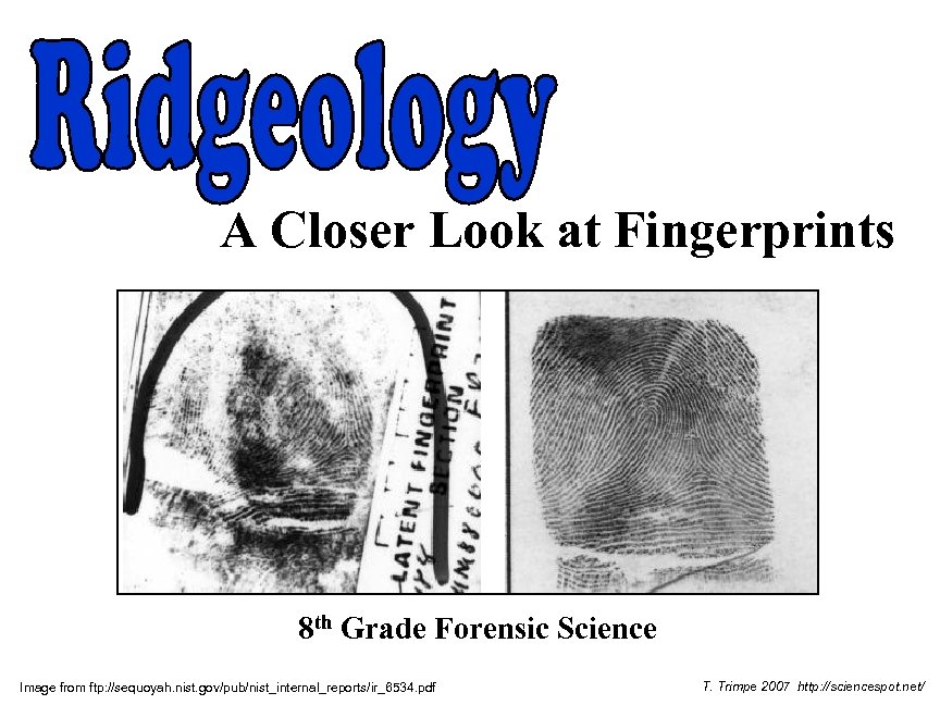 A Closer Look at Fingerprints 8 th Grade Forensic Science Image from ftp: //sequoyah.