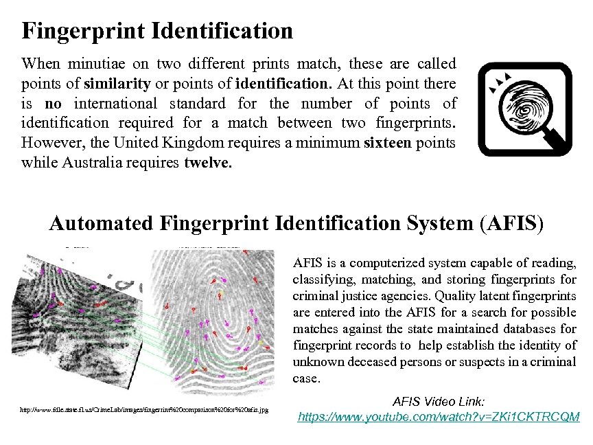 Fingerprint Identification When minutiae on two different prints match, these are called points of
