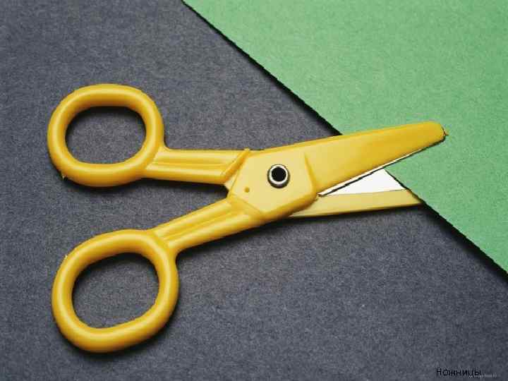 Ножницы 