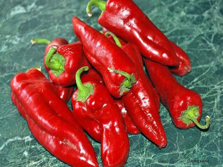Перец чили 