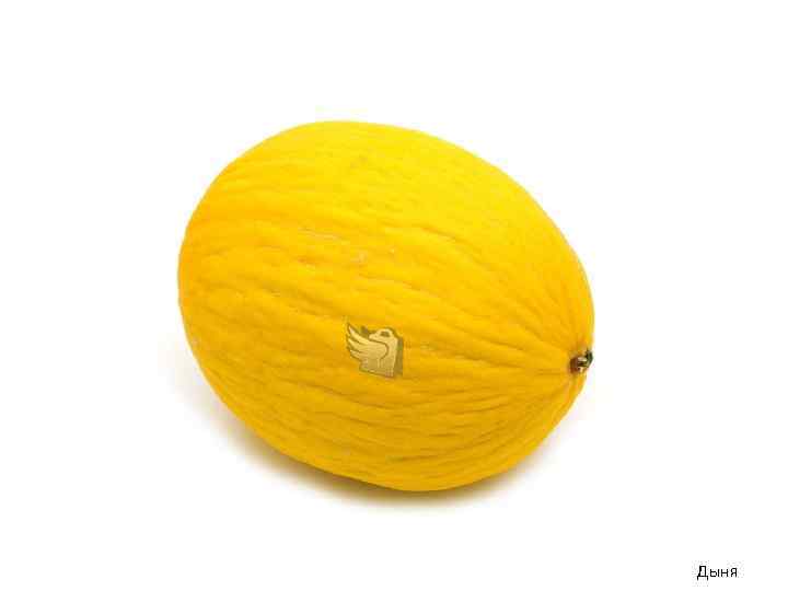 Дыня 