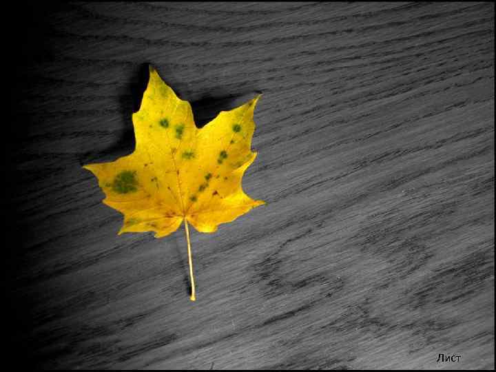 Лист 
