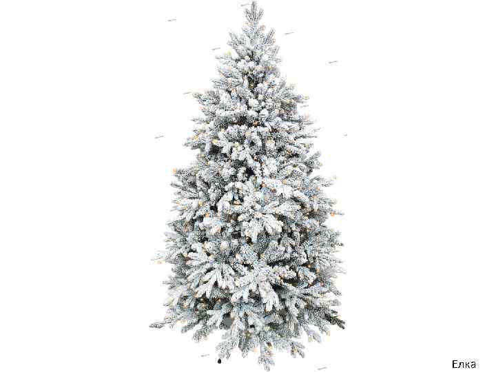 Елка 