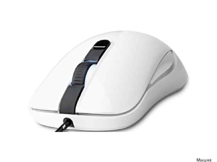 Мышка 