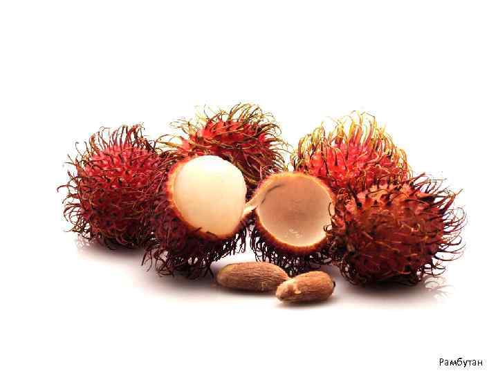 Рамбутан 