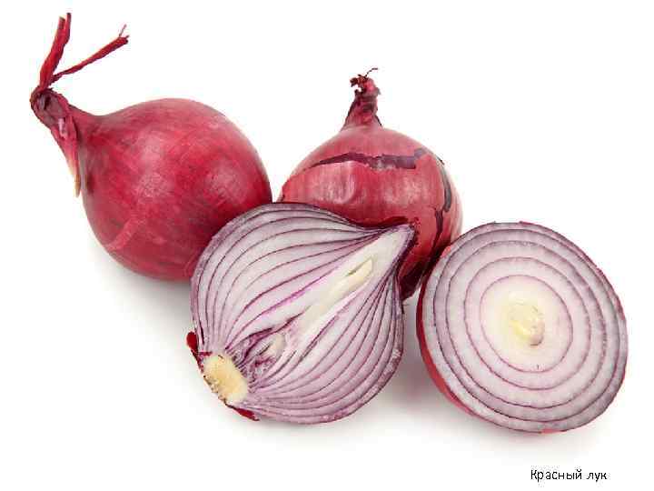 Красный лук 