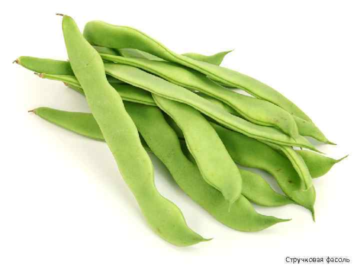 Стручковая фасоль 