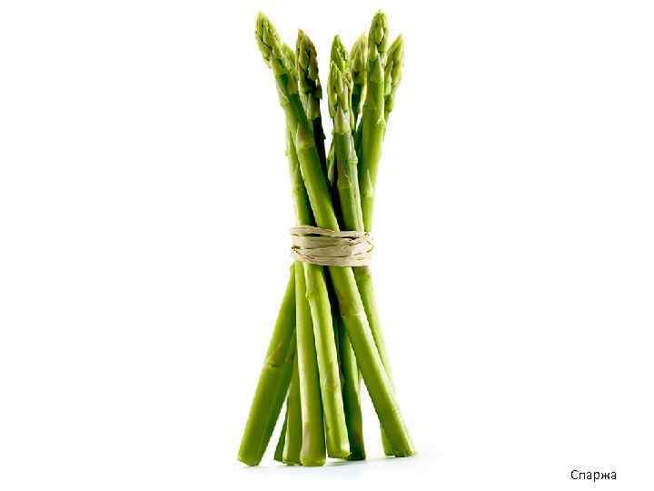 Спаржа 
