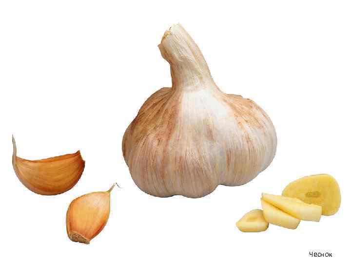 Чеснок 
