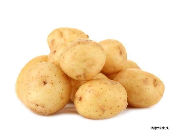Картофель 
