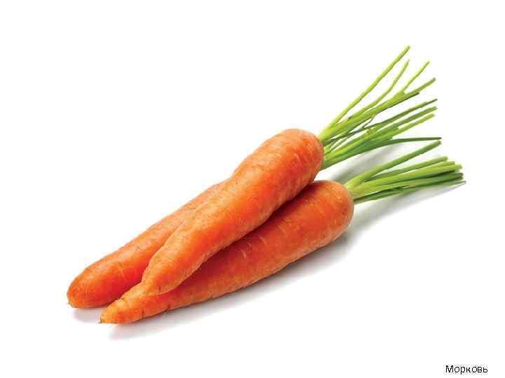 Морковь 